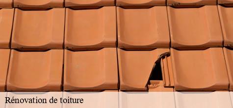 Rénovation de toiture  joinville-le-pont-94340 Felix Couverture