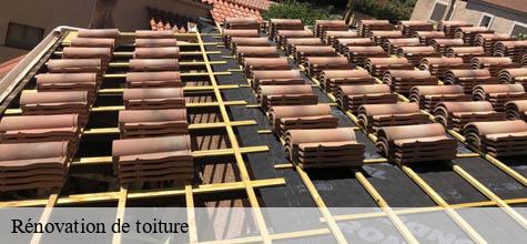 Rénovation de toiture  maisons-alfort-94700 Felix Couverture