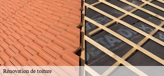 Rénovation de toiture nogent-sur-marne-94130 Felix Couverture