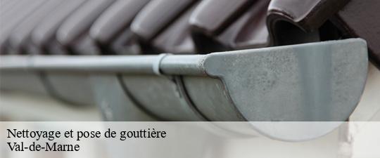 Nettoyage et pose de gouttière 94 Val-de-Marne Toiture Schtenegry