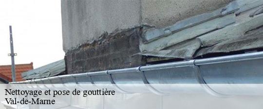 Nettoyage et pose de gouttière 94 Val-de-Marne Toiture Schtenegry