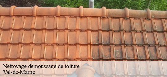 Nettoyage demoussage de toiture 94 Val-de-Marne JS bâtiment