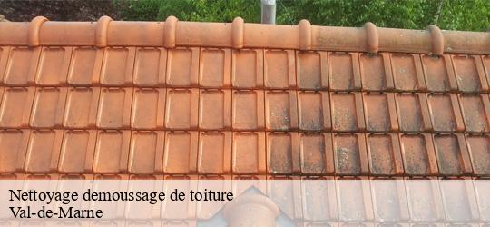 Nettoyage demoussage de toiture 94 Val-de-Marne  JS bâtiment