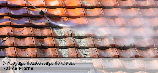 Nettoyage demoussage de toiture 94 Val-de-Marne JS bâtiment