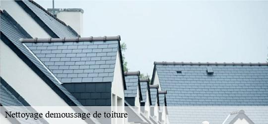 Nettoyage demoussage de toiture 94 Val-de-Marne JS bâtiment