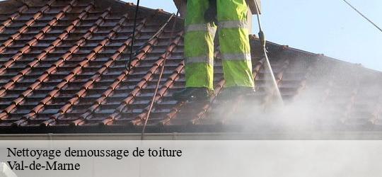 Nettoyage demoussage de toiture 94 Val-de-Marne Toiture Schtenegry