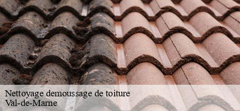 Nettoyage demoussage de toiture 94 Val-de-Marne  Felix Couverture