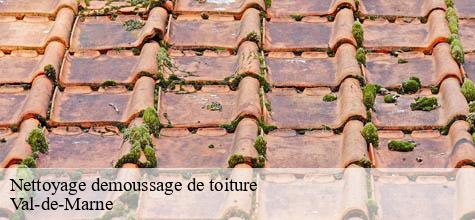 Nettoyage demoussage de toiture 94 Val-de-Marne  Felix Couverture