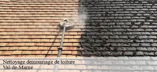 Nettoyage demoussage de toiture 94 Val-de-Marne Felix Couverture
