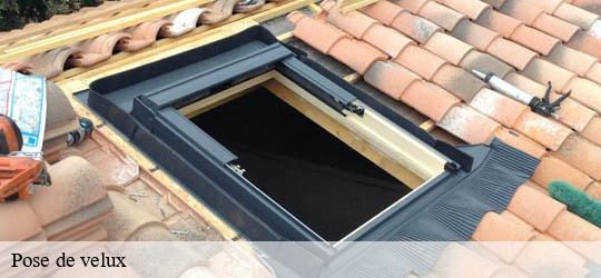 Pose de velux  fontenay-sous-bois-94120 Felix Couverture