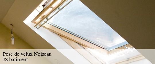 Pose de velux noiseau-94880 JS bâtiment