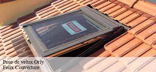 Pose de velux orly-94310 Felix Couverture