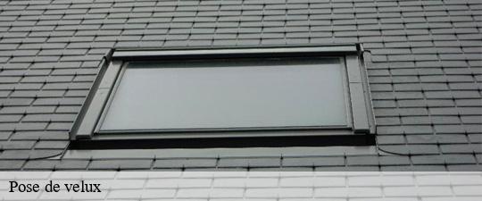 Pose de velux rungis-94150 JS bâtiment