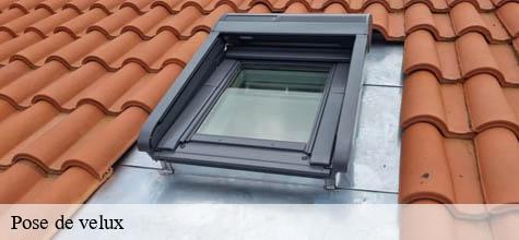 Pose de velux  villecresnes-94440 Felix Couverture