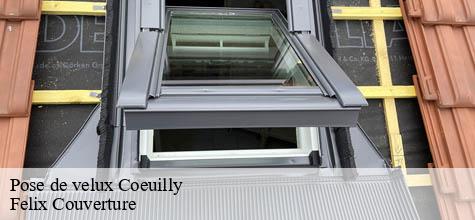 Pose de velux  coeuilly-94500 Felix Couverture