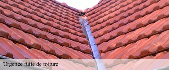 Urgence fuite de toiture choisy-le-roi-94600 Toiture Schtenegry