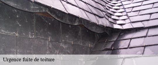 Urgence fuite de toiture creteil-94000 Toiture Schtenegry