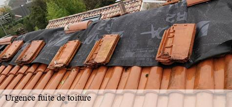 Urgence fuite de toiture  limeil-brevannes-94450 Felix Couverture