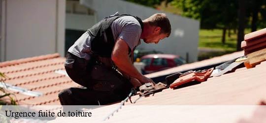 Urgence fuite de toiture  limeil-brevannes-94450 Felix Couverture