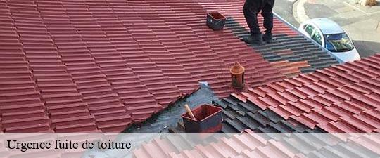 Urgence fuite de toiture  maisons-alfort-94700 JS bâtiment