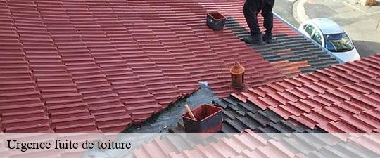 Urgence fuite de toiture rungis-94150 JS bâtiment