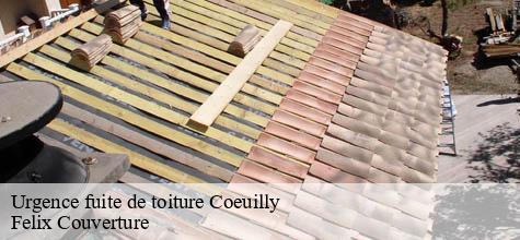 Urgence fuite de toiture  coeuilly-94500 Felix Couverture