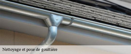 Nettoyage et pose de gouttière  ablon-sur-seine-94480 JS bâtiment