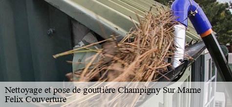 Nettoyage et pose de gouttière  champigny-sur-marne-94500 Felix Couverture