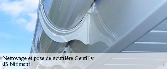 Nettoyage et pose de gouttière  gentilly-94250 JS bâtiment