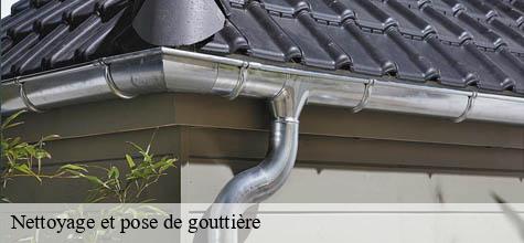 Nettoyage et pose de gouttière  noiseau-94880 Felix Couverture