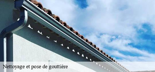 Nettoyage et pose de gouttière  noiseau-94880 Felix Couverture