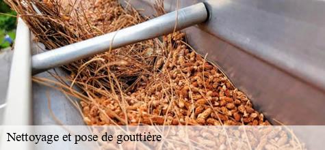 Nettoyage et pose de gouttière  santeny-94440 Felix Couverture
