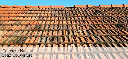 Couvreur  noiseau-94880 Felix Couverture