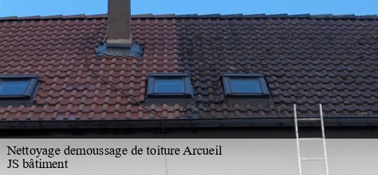 Nettoyage demoussage de toiture arcueil-94110 JS bâtiment