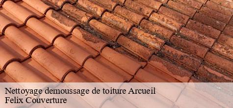 Nettoyage demoussage de toiture  arcueil-94110 Felix Couverture