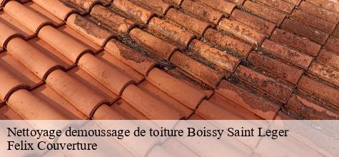 Nettoyage demoussage de toiture  boissy-saint-leger-94470 Felix Couverture