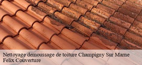 Nettoyage demoussage de toiture  champigny-sur-marne-94500 Felix Couverture