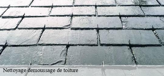 Nettoyage demoussage de toiture charenton-le-pont-94220 JS bâtiment