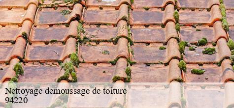 Nettoyage demoussage de toiture  charenton-le-pont-94220 Felix Couverture