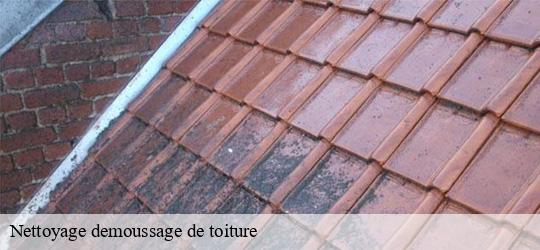 Nettoyage demoussage de toiture  choisy-le-roi-94600 JS bâtiment