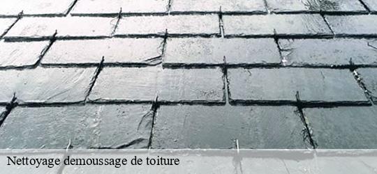 Nettoyage demoussage de toiture  choisy-le-roi-94600 JS bâtiment