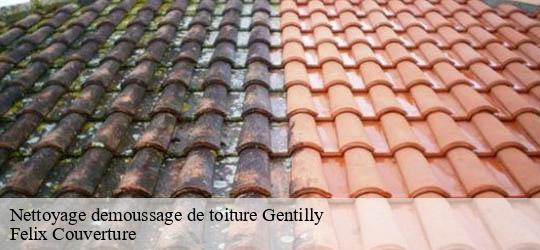 Nettoyage demoussage de toiture gentilly-94250 Felix Couverture