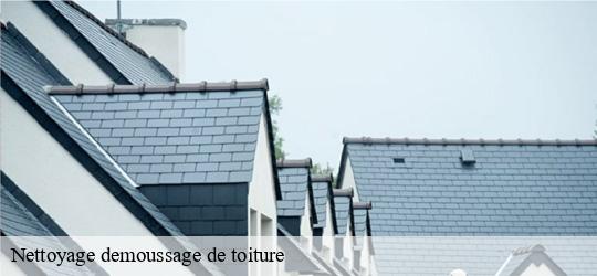 Nettoyage demoussage de toiture  ivry-sur-seine-94200 JS bâtiment