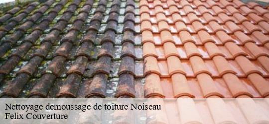 Nettoyage demoussage de toiture noiseau-94880 Felix Couverture