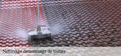 Nettoyage demoussage de toiture  noiseau-94880 Felix Couverture