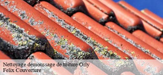 Nettoyage demoussage de toiture  orly-94310 Felix Couverture