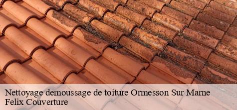 Nettoyage demoussage de toiture  ormesson-sur-marne-94490 Felix Couverture