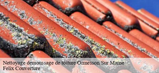 Nettoyage demoussage de toiture  ormesson-sur-marne-94490 Felix Couverture