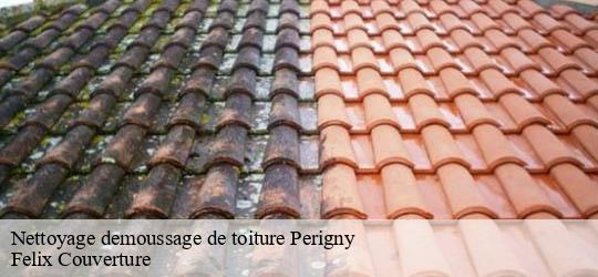 Nettoyage demoussage de toiture perigny-94520 Felix Couverture