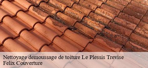 Nettoyage demoussage de toiture  le-plessis-trevise-94420 Felix Couverture